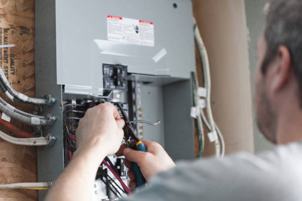 Best Electrical Panel Upgrades  in Nixon, TX